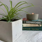 Succulent Square Planter